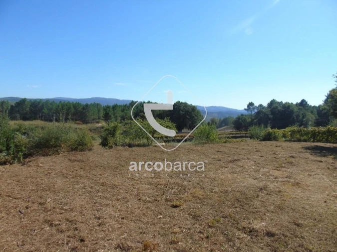 Terreno para Venda em Mentrestido Foto 3