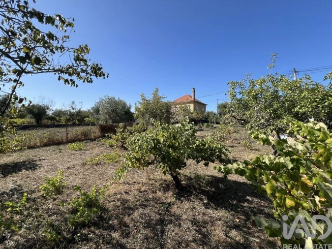 Moradia T3 para Venda em Pussos São Pedro Foto 17