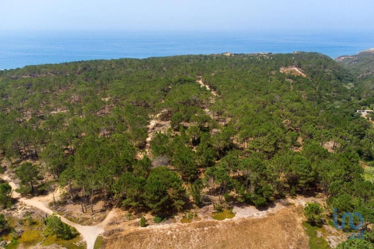 Terreno para Venda em Rogil Foto 5