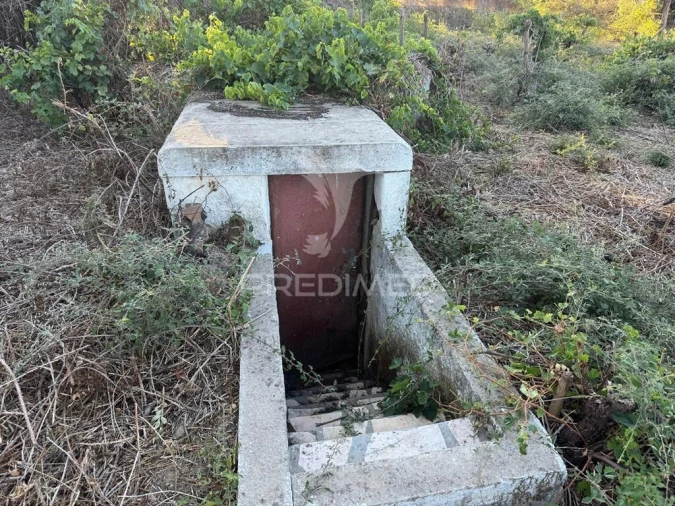 Quinta T3 para Venda em Fortios Foto 17