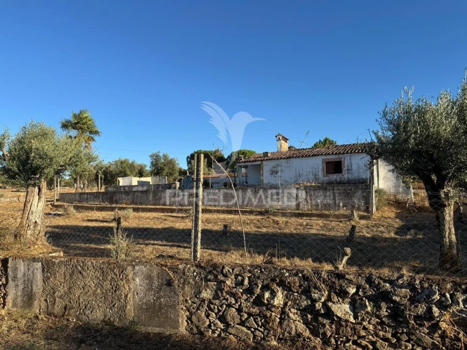 Quinta T3 para Venda em Fortios Foto 8