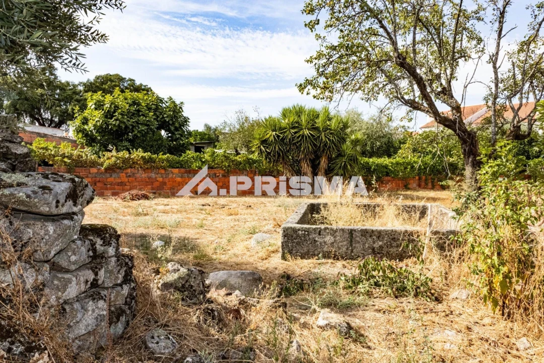 Terreno para Venda em Alcains Foto 19
