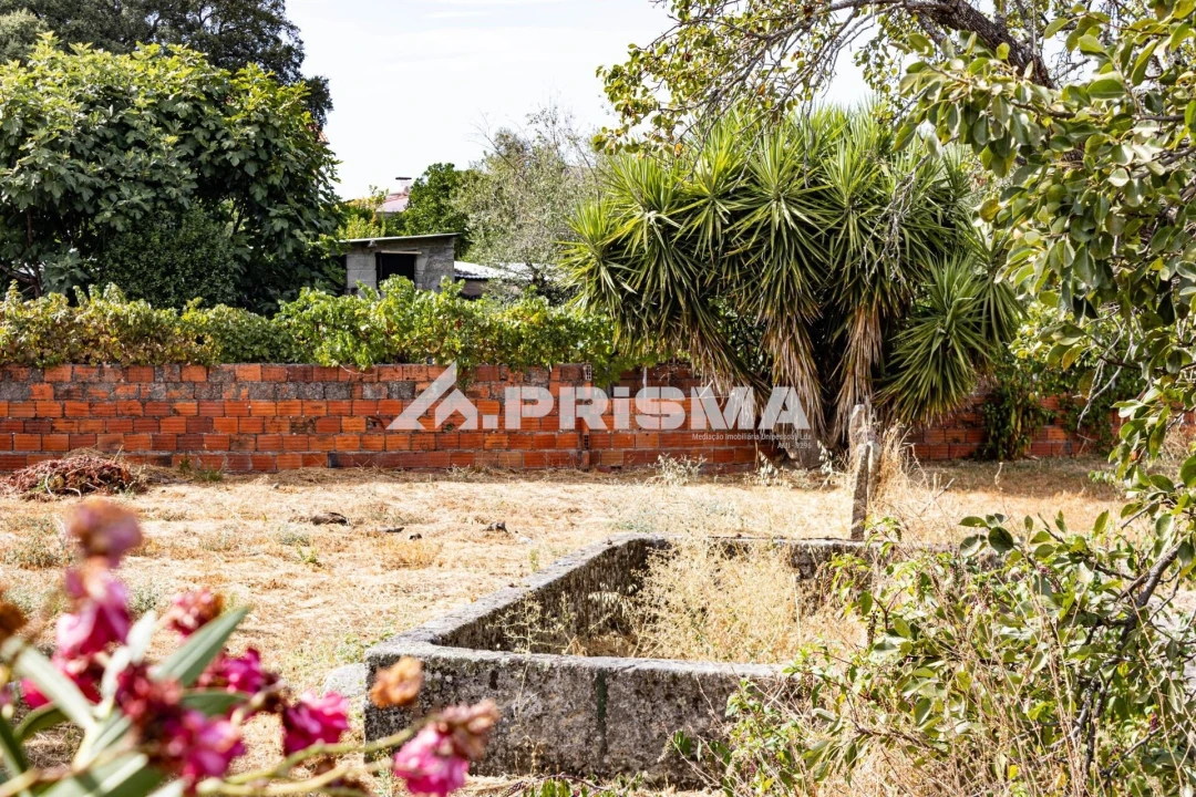 Terreno para Venda em Alcains Foto 1