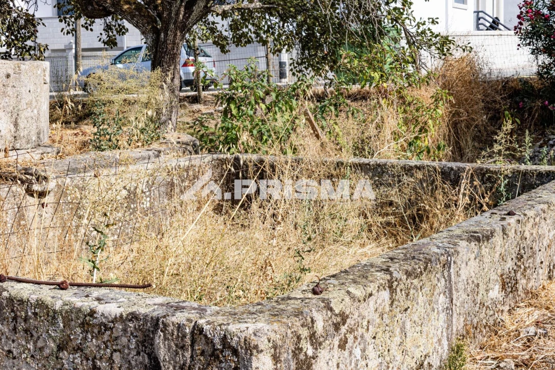Terreno para Venda em Alcains Foto 14