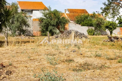 Terreno para Venda em Alcains