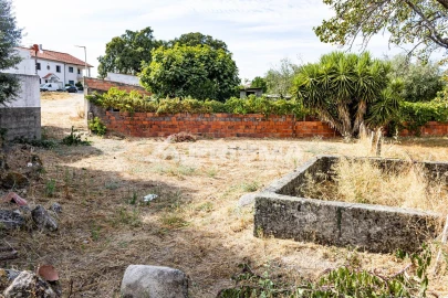 Terreno para Venda em Alcains