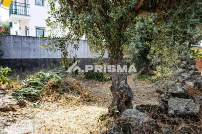 Terreno para Venda em Alcains