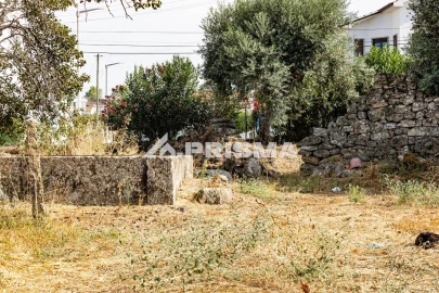 Terreno para Venda em Alcains
