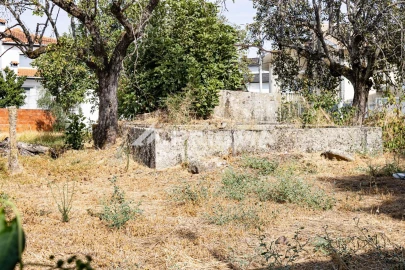 Terreno para Venda em Alcains
