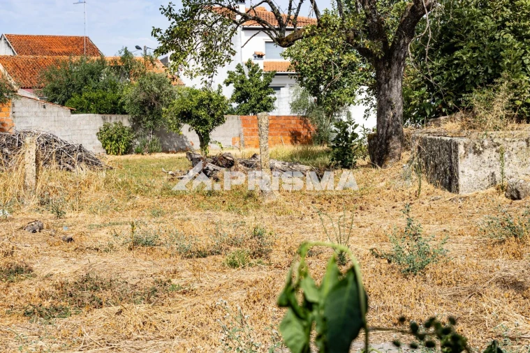 Terreno para Venda em Alcains Foto 6