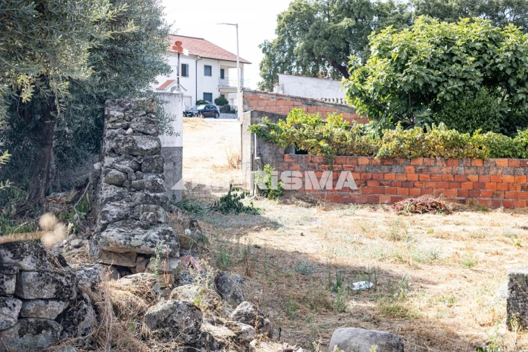 Terreno para Venda em Alcains Foto 2