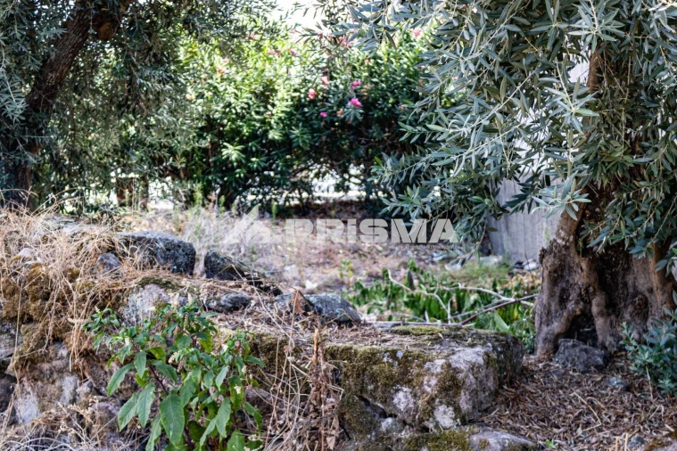 Terreno para Venda em Alcains Foto 9