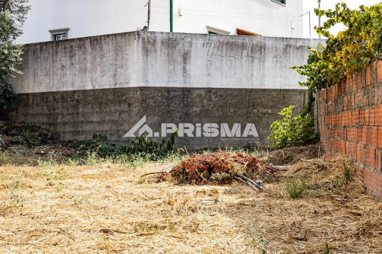 Terreno para Venda em Alcains Foto 10