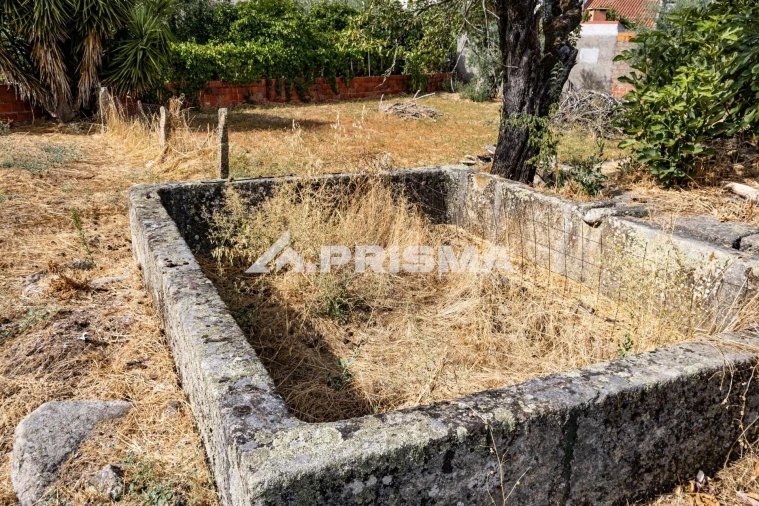 Terreno para Venda em Alcains Foto 15