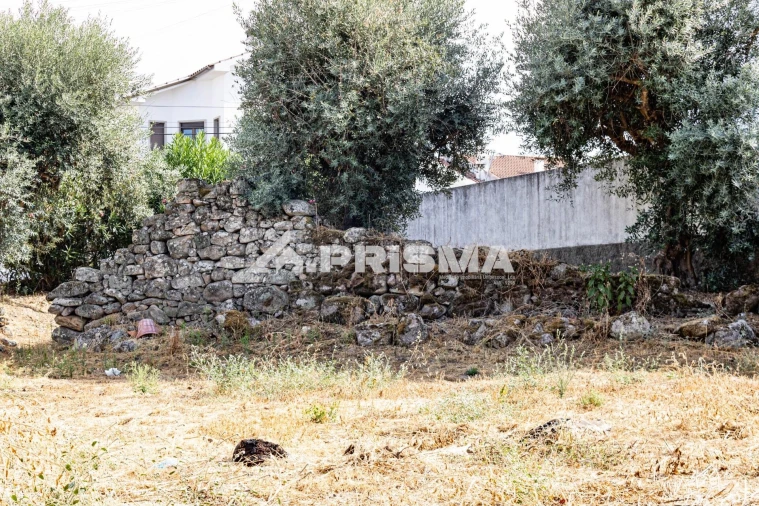 Terreno para Venda em Alcains Foto 12