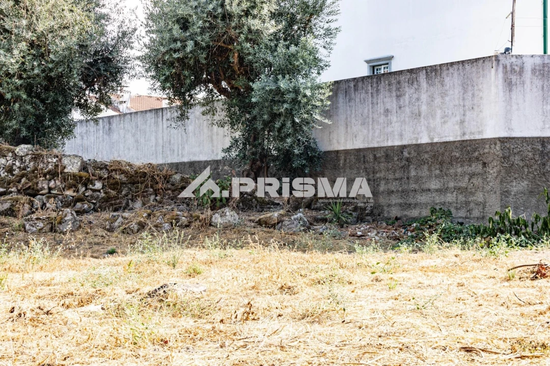 Terreno para Venda em Alcains Foto 11
