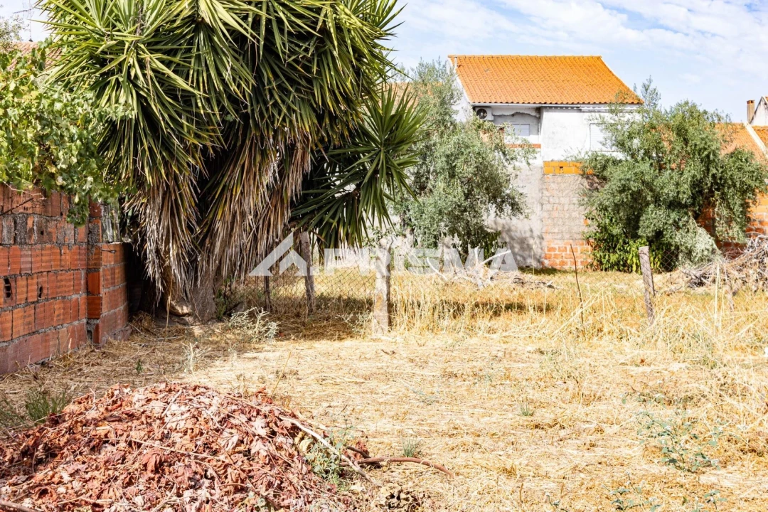 Terreno para Venda em Alcains Foto 4