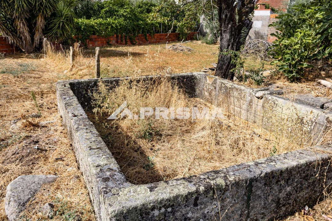Terreno para Venda em Alcains Foto 15