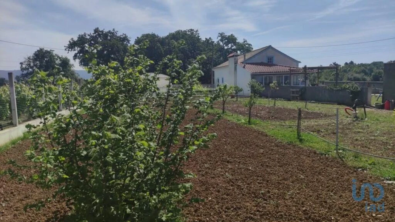 Moradia T3 para Venda em Chão de Couce Foto 1