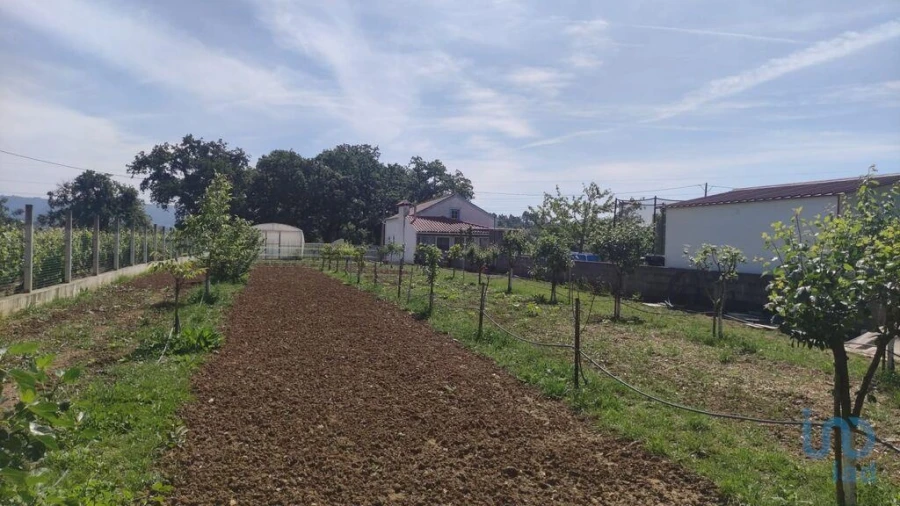 Moradia T3 para Venda em Chão de Couce Foto 6