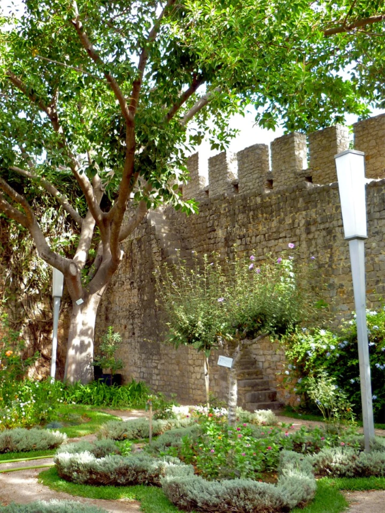 Apartamento T3 para Venda em Tavira (Santa Maria e Santiago) Foto 9