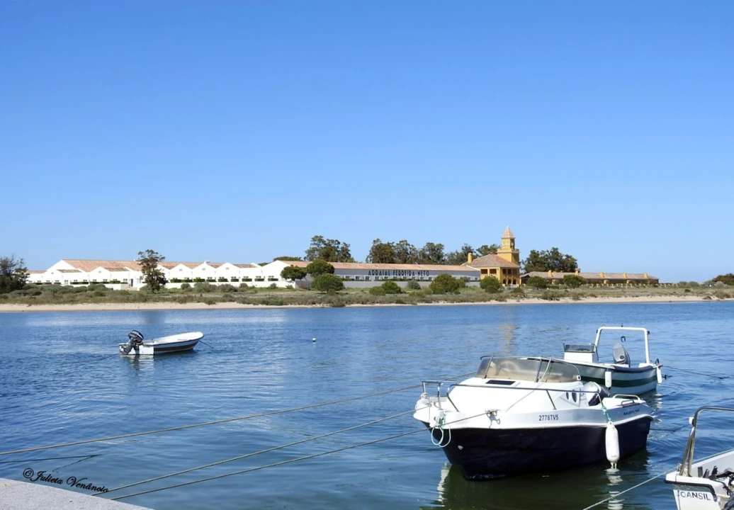 Apartamento T1 para Venda em Tavira (Santa Maria e Santiago) Foto 10