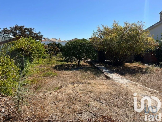 Terreno para Venda em Fernao Ferro Foto 8