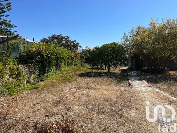 Terreno para Venda em Fernao Ferro Foto 3