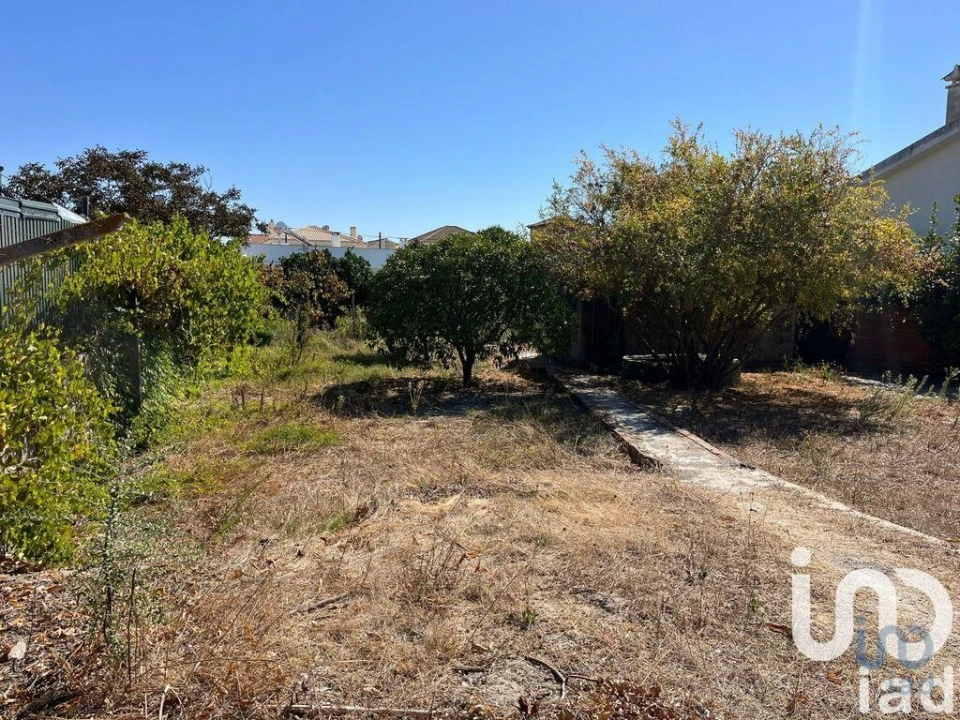 Terreno para Venda em Fernao Ferro Foto 8
