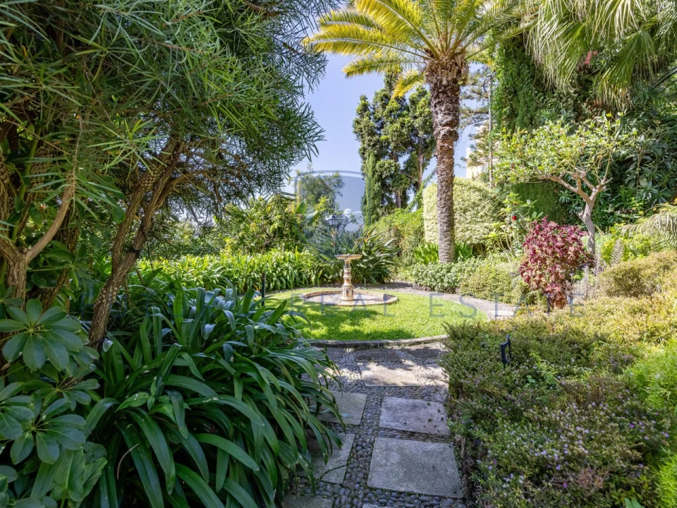 Moradia T6 para Venda em Funchal (Santa Luzia) Foto 26