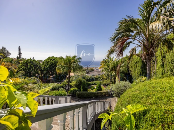 Moradia T6 para Venda em Funchal (Santa Luzia) Foto 19