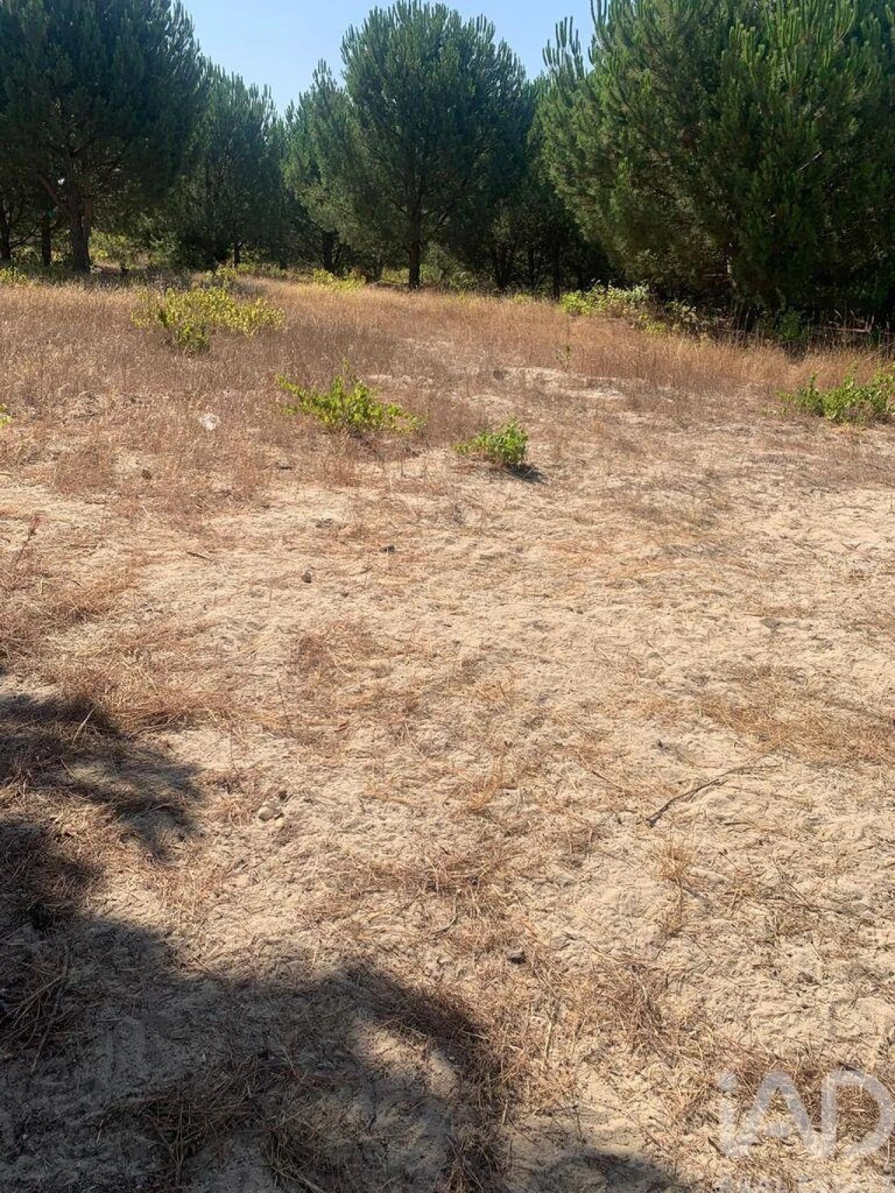 Terreno para Venda em Poceirão e Marateca Foto 19
