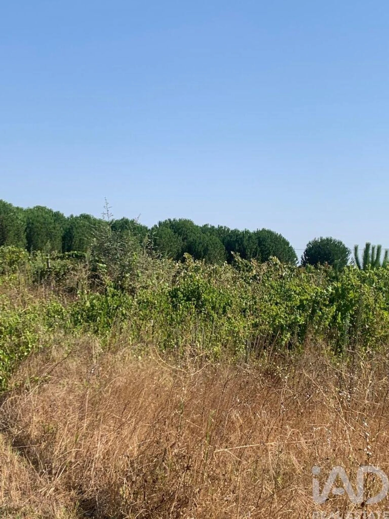 Terreno para Venda em Poceirão e Marateca Foto 15