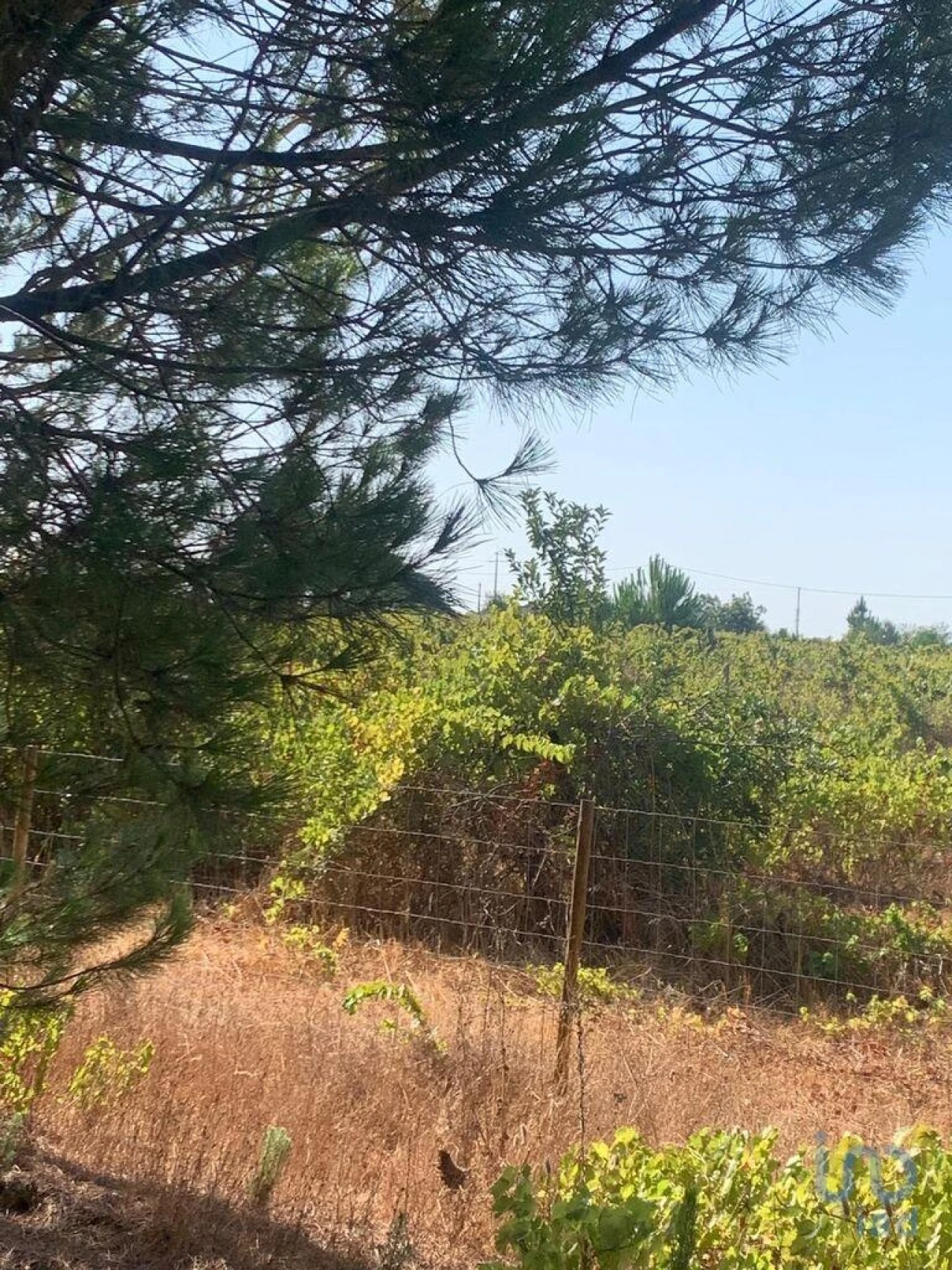 Terreno para Venda em Poceirão e Marateca Foto 3