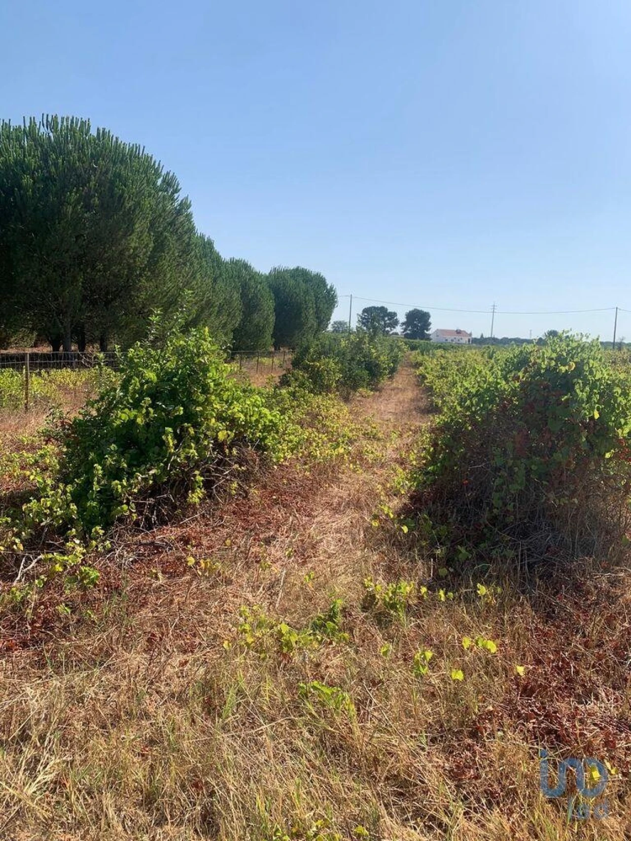 Terreno para Venda em Poceirão e Marateca Foto 10