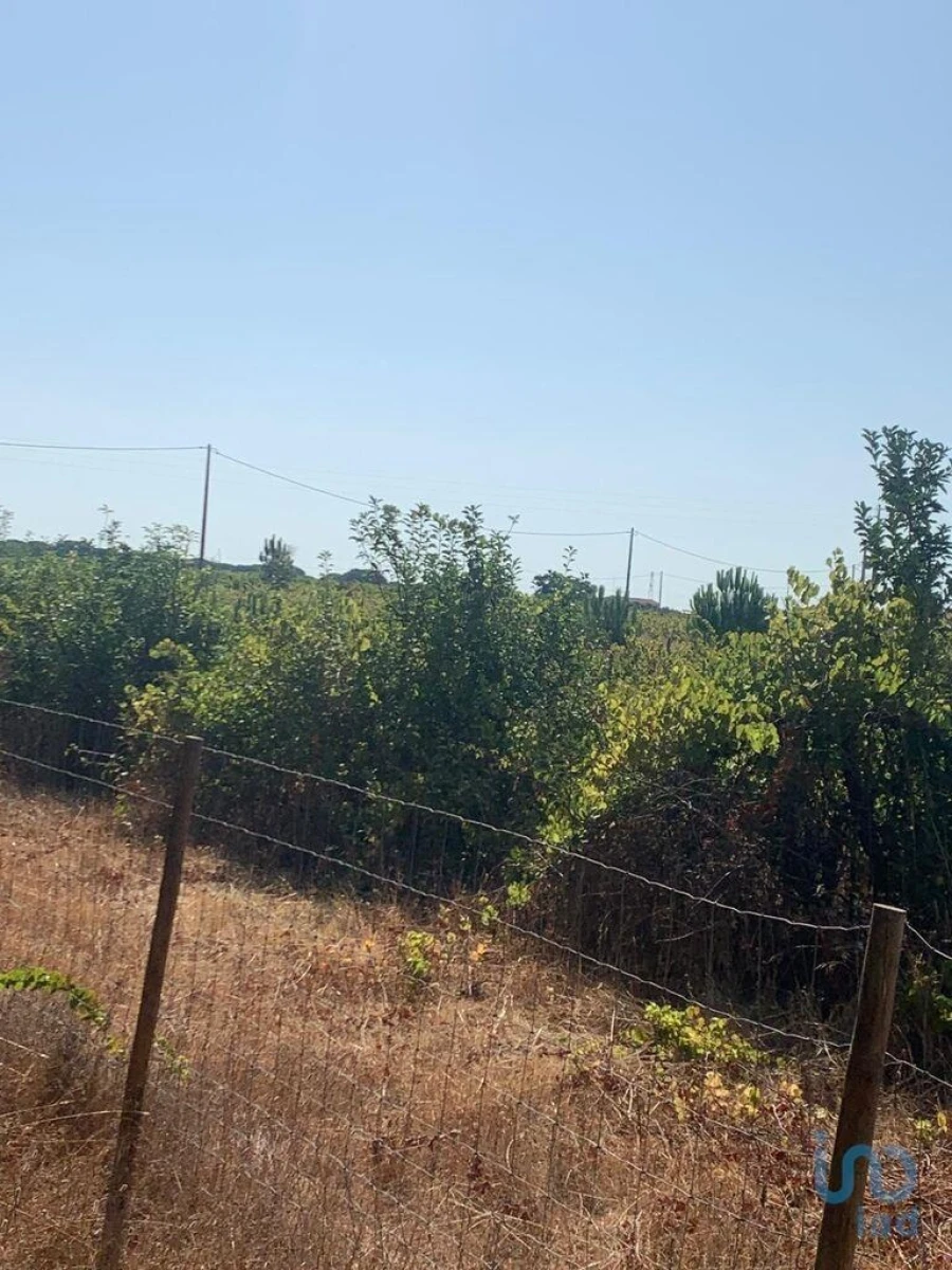 Terreno para Venda em Poceirão e Marateca Foto 4