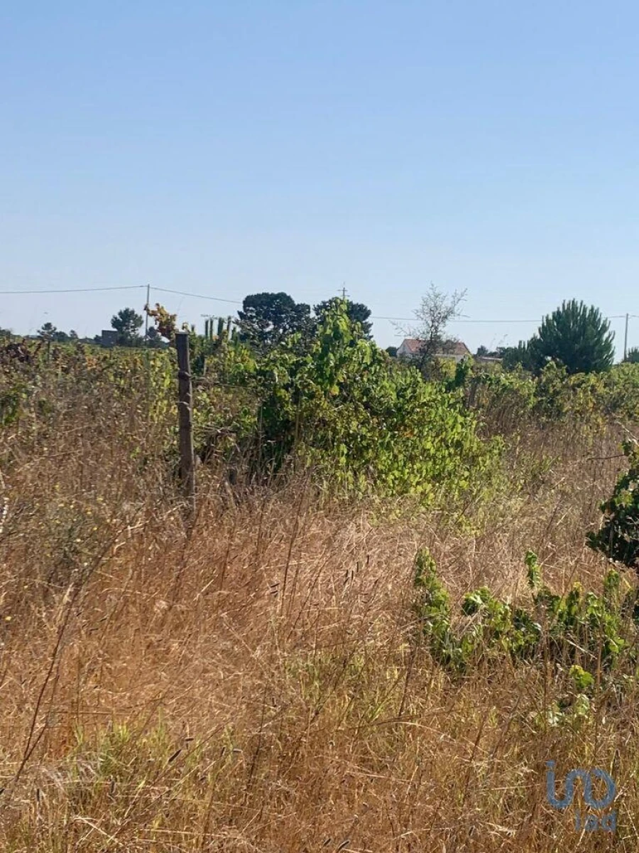 Terreno para Venda em Poceirão e Marateca Foto 9