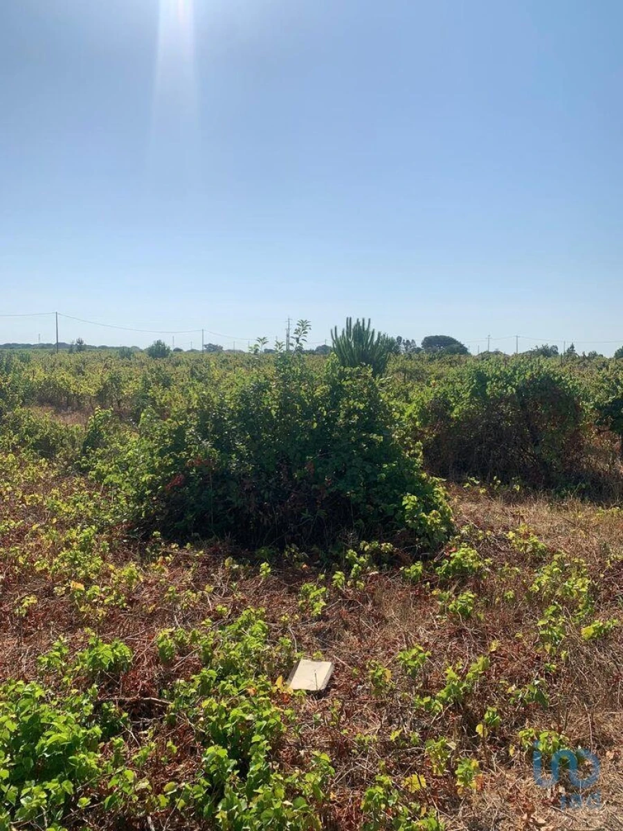 Terreno para Venda em Poceirão e Marateca Foto 8