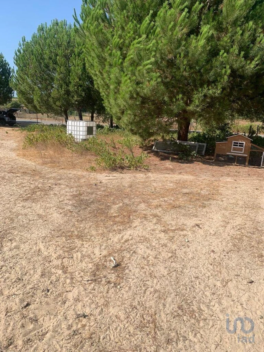 Terreno para Venda em Poceirão e Marateca Foto 2