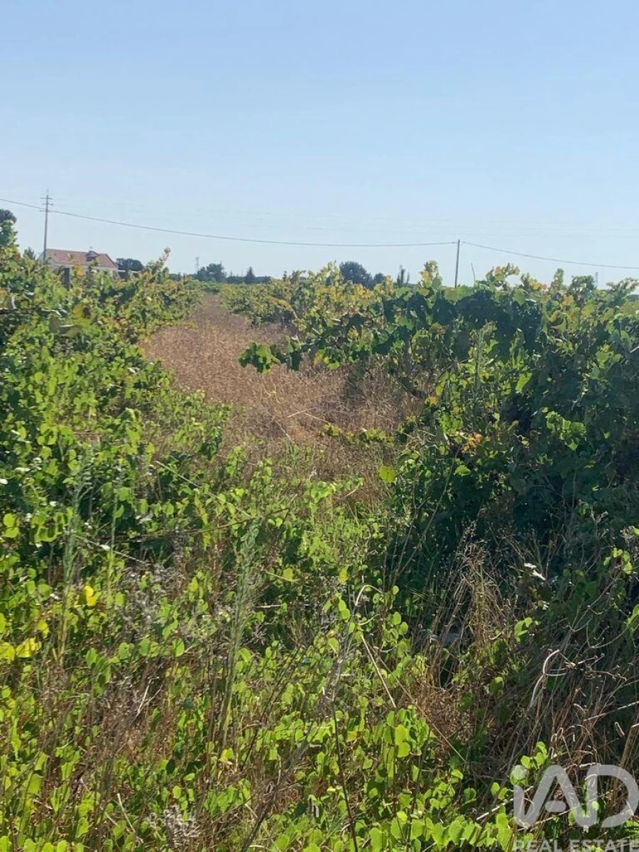 Terreno para Venda em Poceirão e Marateca Foto 16