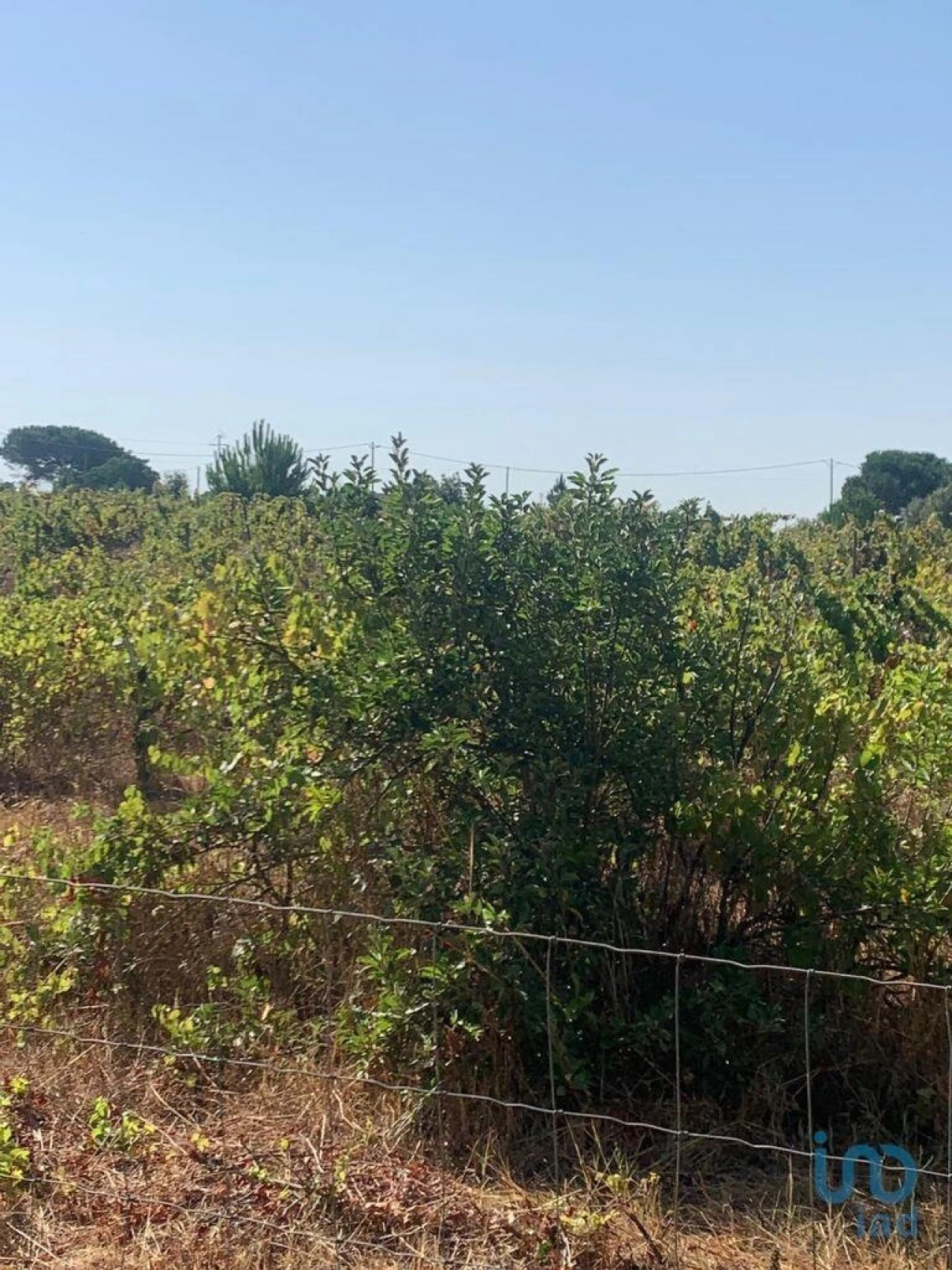 Terreno para Venda em Poceirão e Marateca Foto 5
