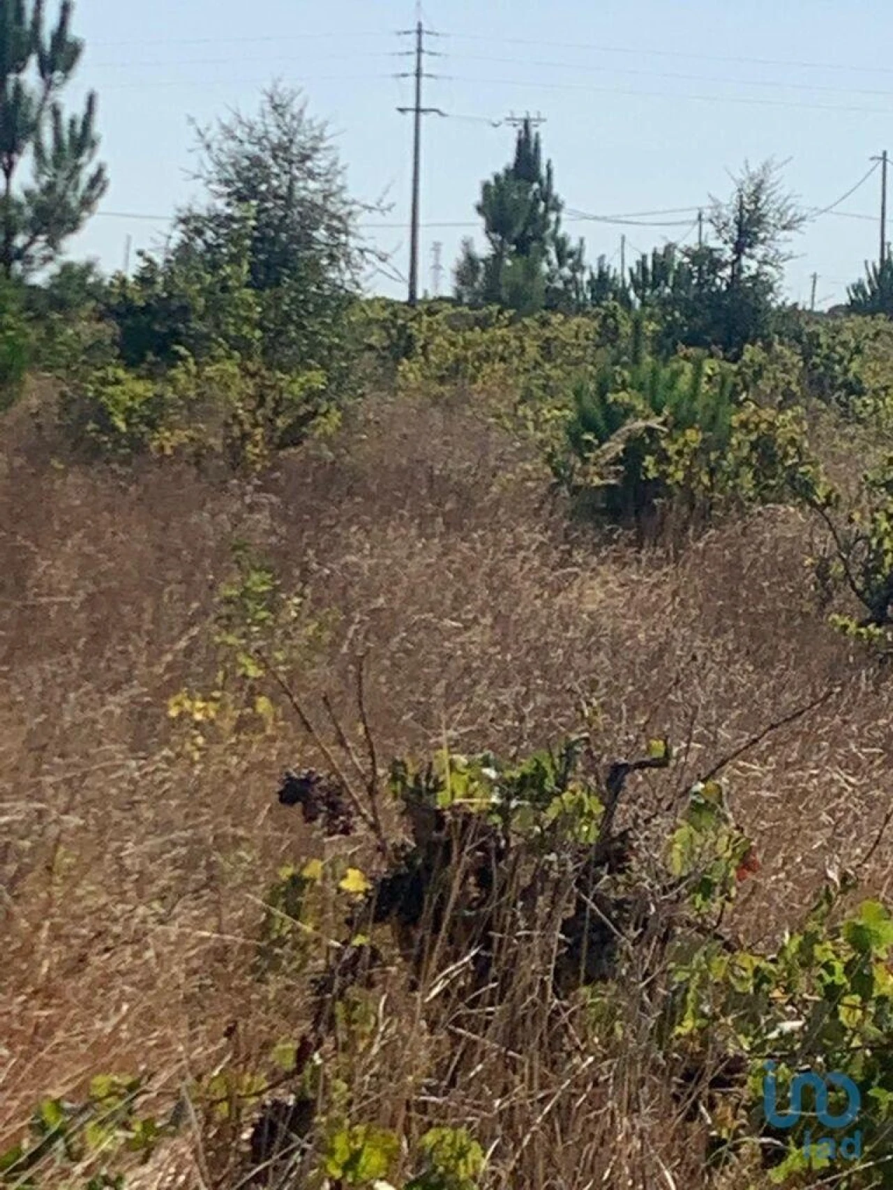 Terreno para Venda em Poceirão e Marateca Foto 14