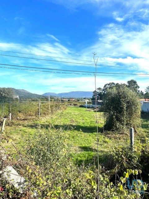 Terreno para Venda em Torre e Vila Mou