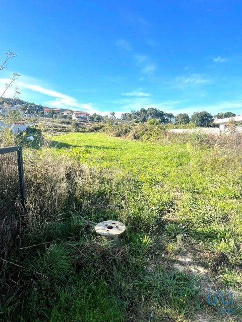 Terreno para Venda em Torre e Vila Mou