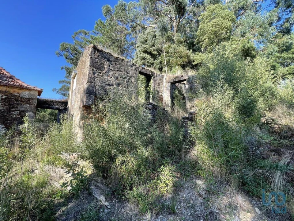 Terreno para Venda em Fragoso Foto 7