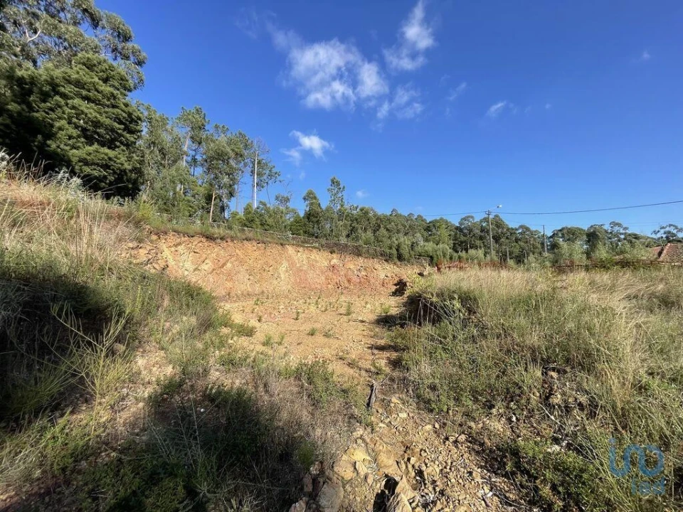 Terreno para Venda em Fragoso Foto 11