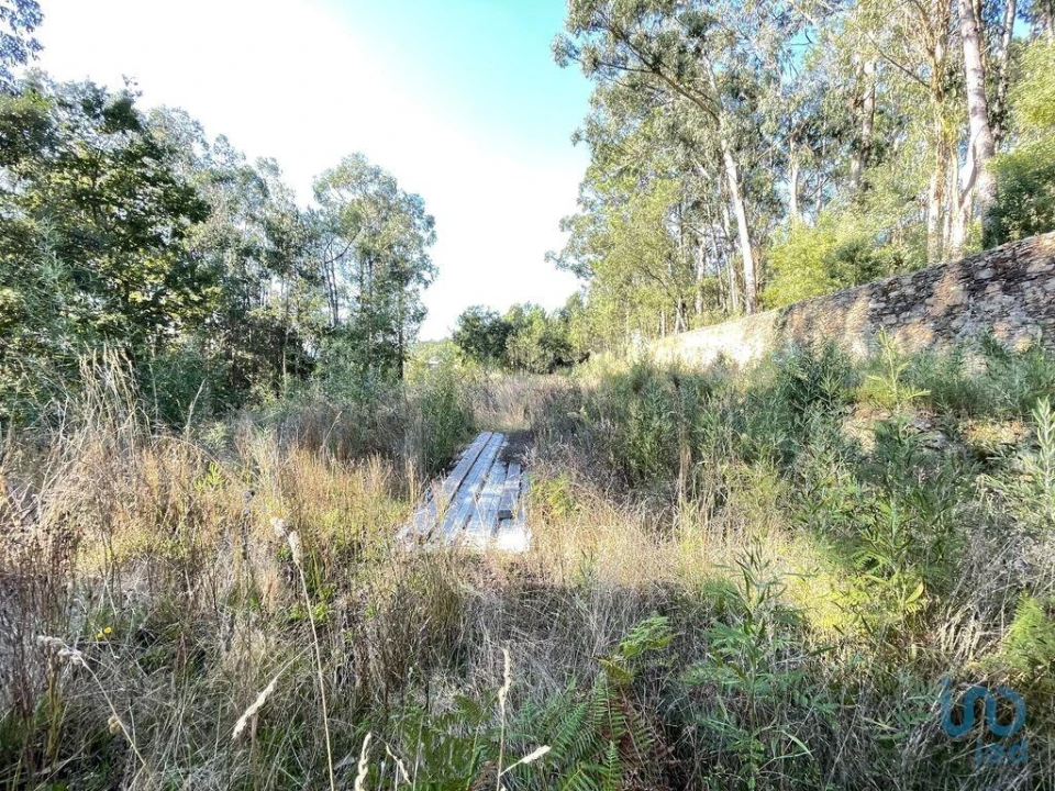 Terreno para Venda em Fragoso Foto 9