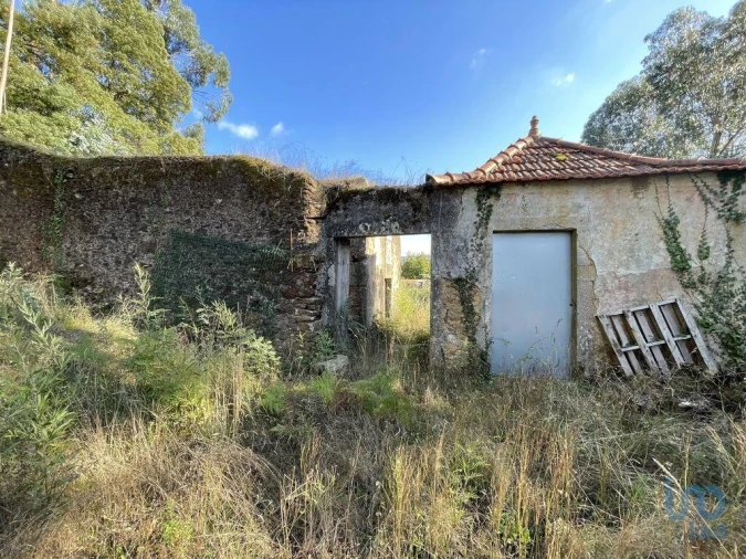 Terreno para Venda em Fragoso Foto 8