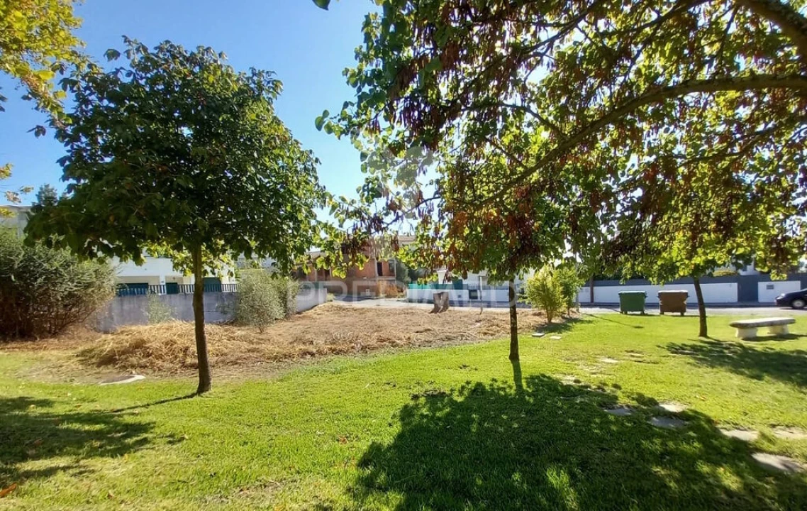 Terreno para Venda em Abrantes (São Vicente e São João) e Alferrarede Foto 10