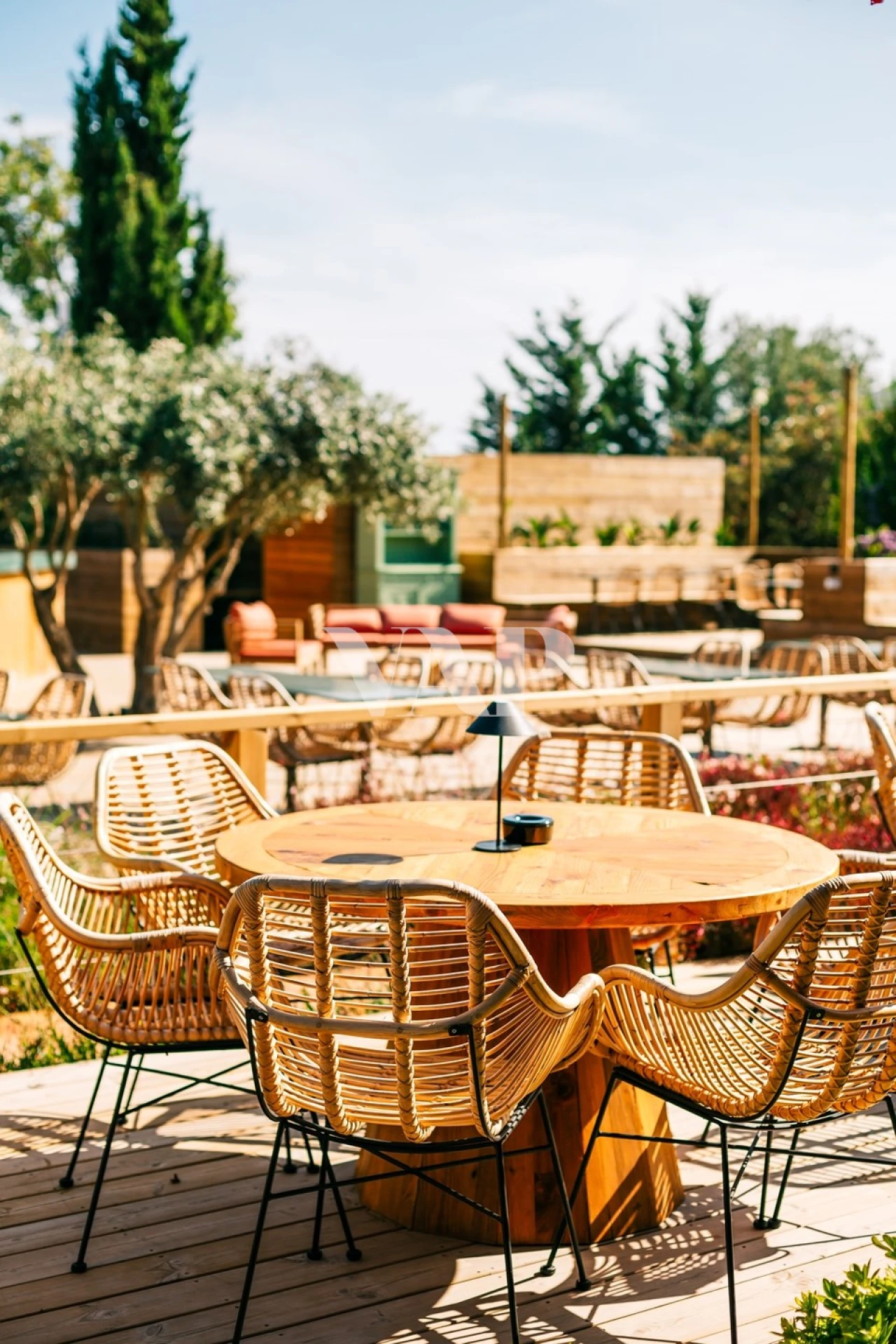 Negócio para Venda em Almancil Foto 9